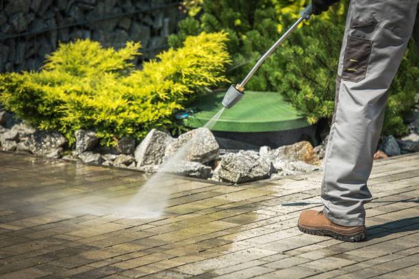 Best Sign and Awning Cleaning  in Louisburg, NC